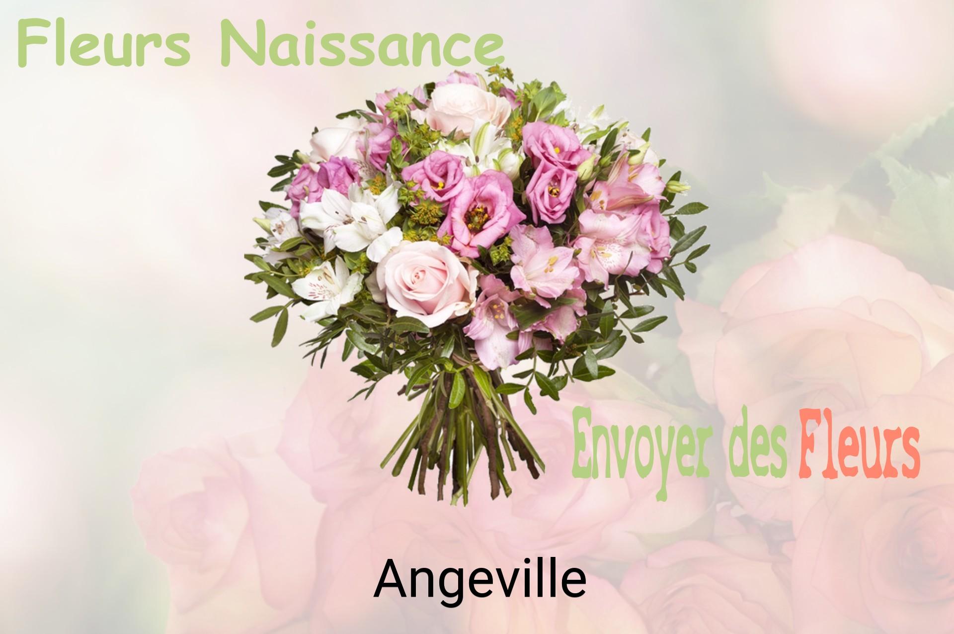 Bouquet de fleurs de naissance livré à Angeville